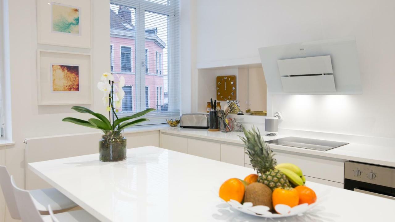 Luxueux Logement Bourgeois De 250 M2 Climatise Lille Kültér fotó