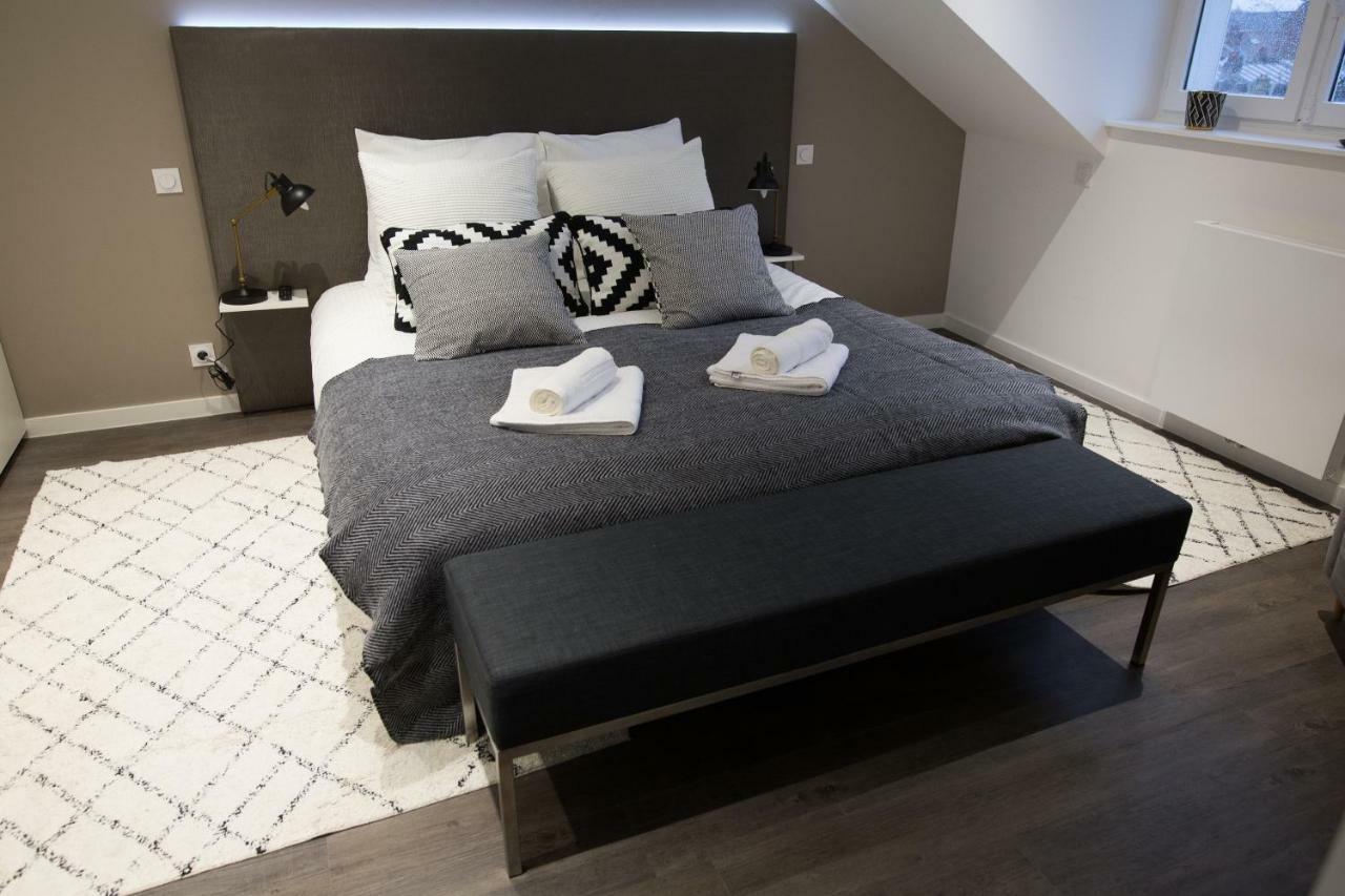 Luxueux Logement Bourgeois De 250 M2 Climatise Lille Kültér fotó
